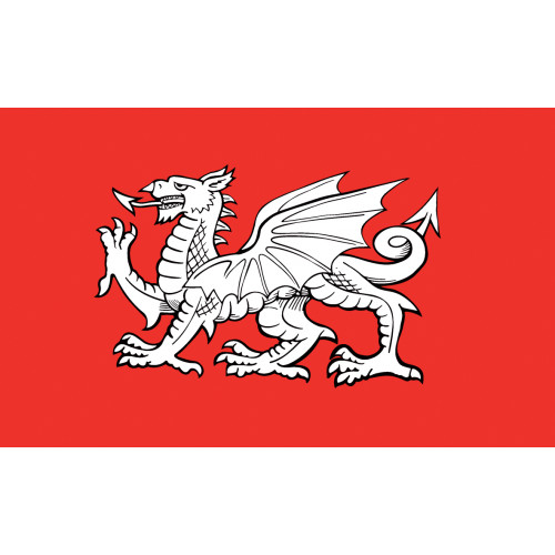English White Dragon