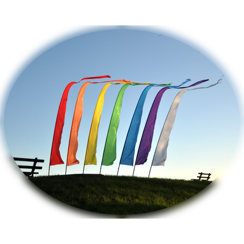 Festival Banner Kit 3.75m - Various Colours Festival Banner Kit 3.75m - Various Colours