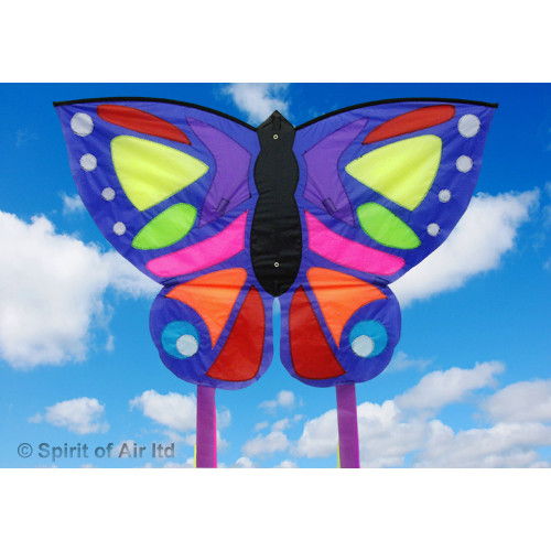 Exotic Butterfly Exotic Butterfly
