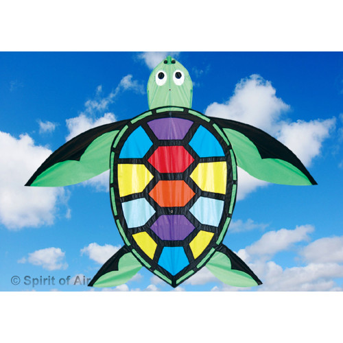 Terry the Turtle Terry the Turtle