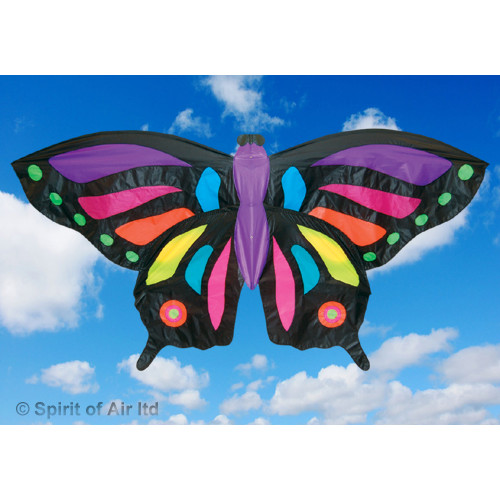 Giant Butterfly Giant Butterfly