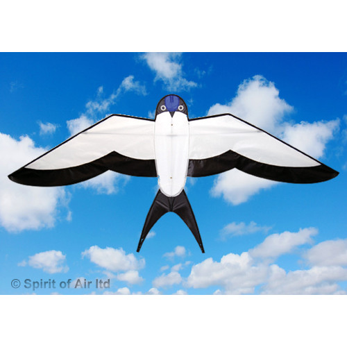 Swallow