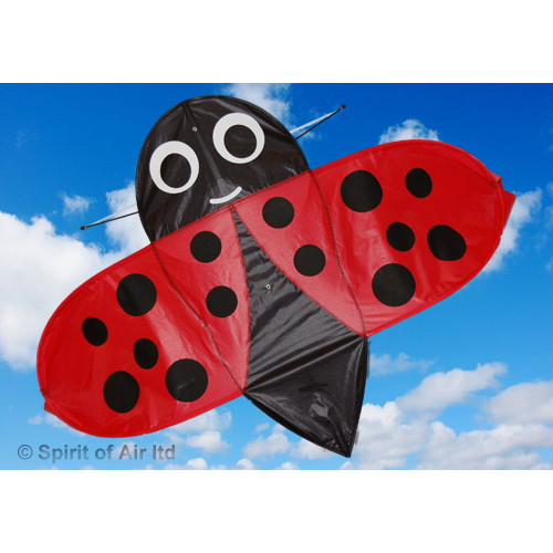 Buzzer Bug