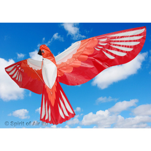 3D - Phoenix Bird 3D - Phoenix Bird