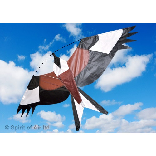 Red Kite Red Kite