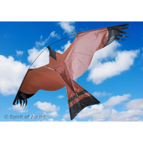 Hawk