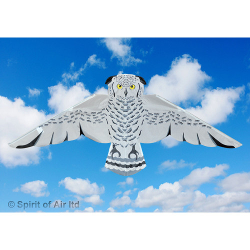 Snowy Owl Snowy Owl