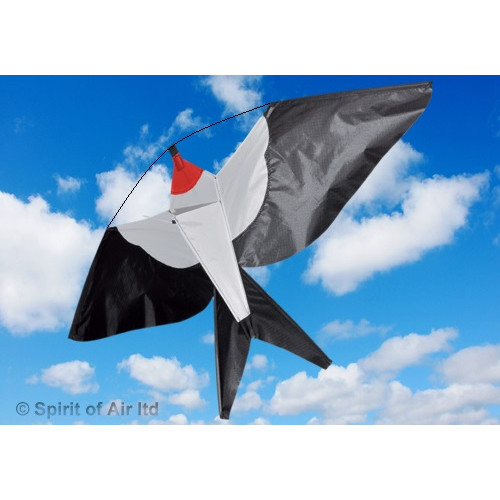 Junior Swallow