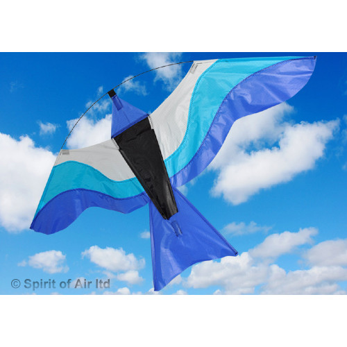 Colourful Bird - BLUE Colourful Bird - BLUE