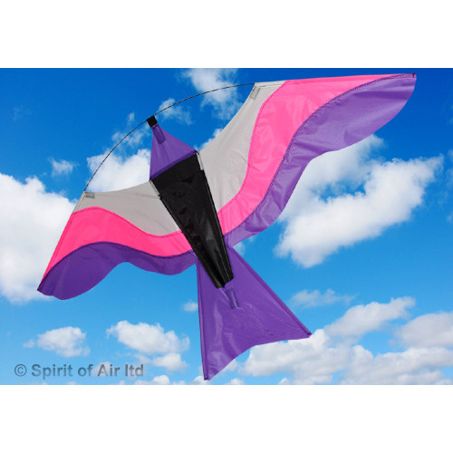 Colourful Bird - PINK