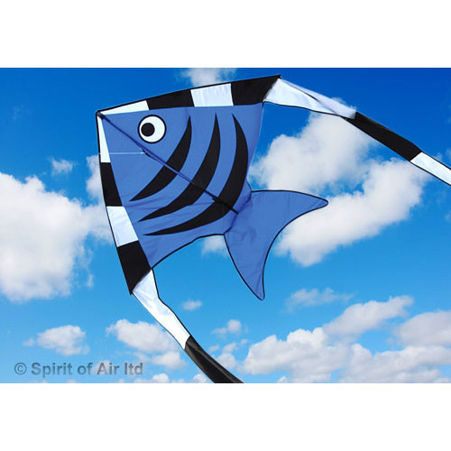 Aqua Flyer - Blue Aqua Flyer - Blue