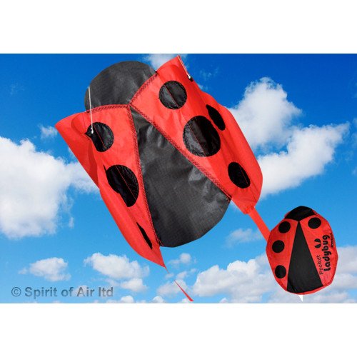Pocket Ladybug Pocket Ladybug