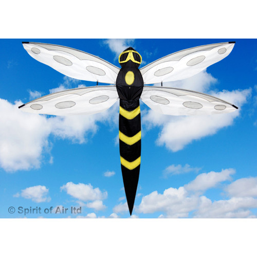 Wasp Wasp