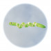Snake Spinners - Various Colours Snake Spinners - Various Colours