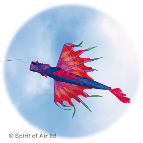 Dragon Windsock Dragon Windsock