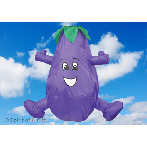 Aubergine - Windsock Aubergine - Windsock