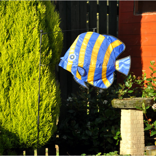 Windswimmer - Angel Fish Windswimmer - Angel Fish