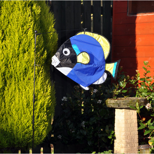 Windswimmer - Surgeon Fish